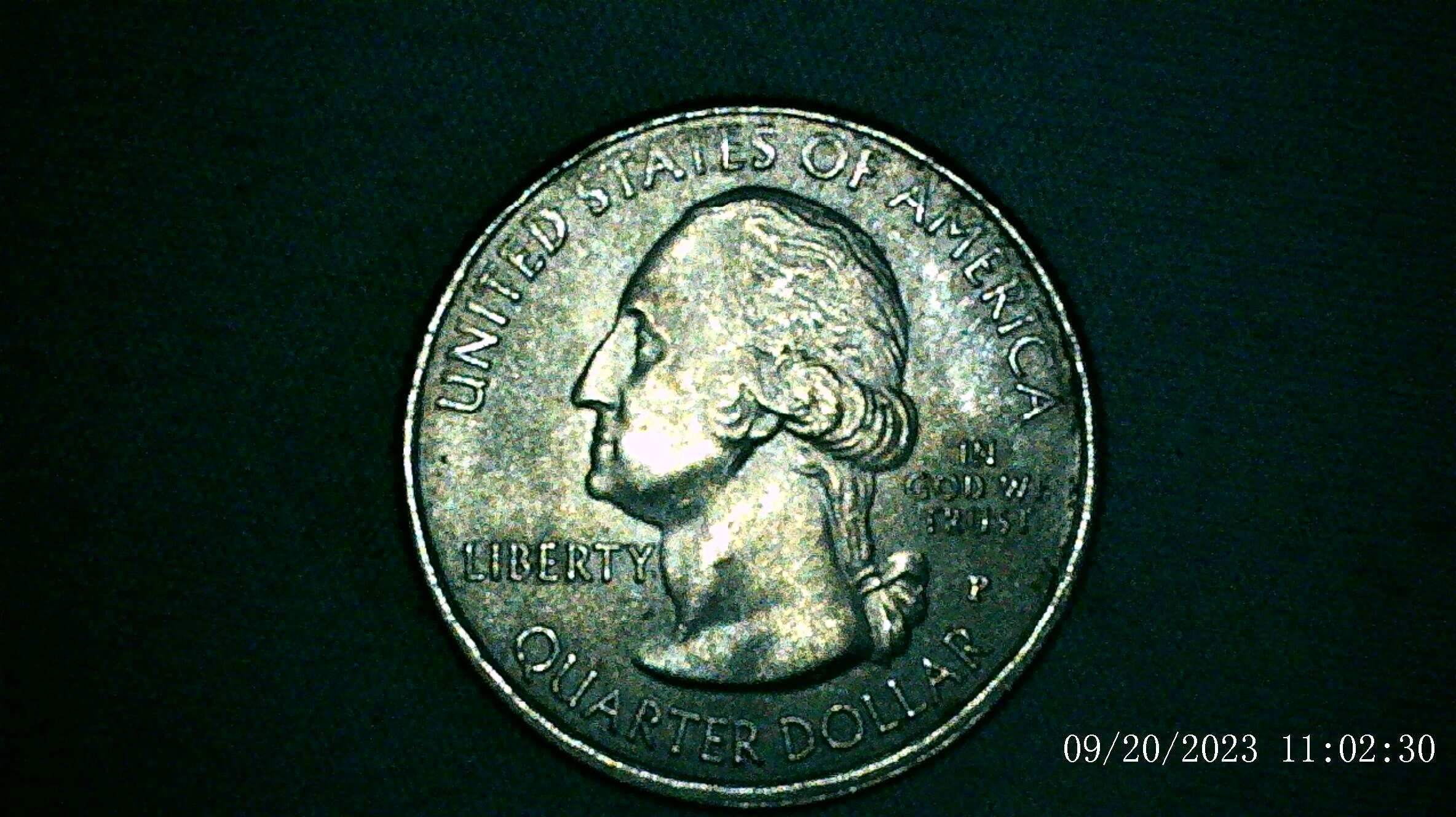 2020-P-Weir-Farms-Quarter-With-Black-Spots-Beehive